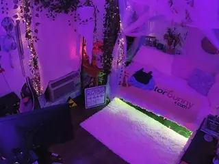 voyeurcam veccasalt 01's Live Sex Cam Show