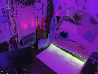 voyeurcam veccasalt 01's Live Sex Cam Show