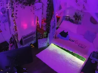 voyeurcam veccasalt 01's Live Sex Cam Show