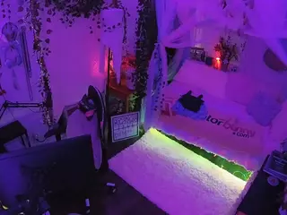 voyeurcam veccasalt 01's Live Sex Cam Show