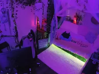 voyeurcam veccasalt 01's Live Sex Cam Show