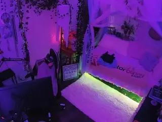 voyeurcam veccasalt 01's Live Sex Cam Show