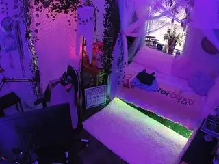 voyeurcam veccasalt 01's Live Sex Cam Show