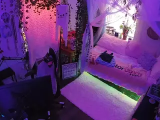 voyeurcam veccasalt 01's Live Sex Cam Show
