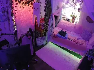 voyeurcam veccasalt 01's Live Sex Cam Show