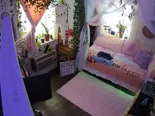 voyeurcam veccasalt 01's Live Sex Cam Show