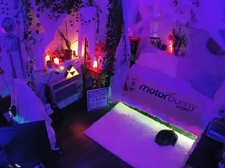 voyeurcam veccasalt 01's Live Sex Cam Show