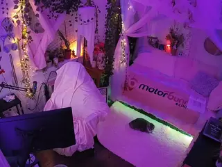 voyeurcam veccasalt 01's Live Sex Cam Show