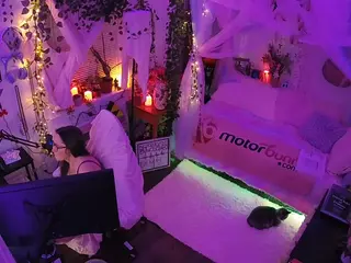 voyeurcam veccasalt 01's Live Sex Cam Show