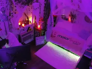 voyeurcam veccasalt 01's Live Sex Cam Show