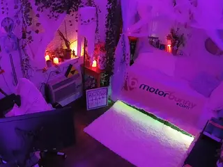 voyeurcam veccasalt 01's Live Sex Cam Show