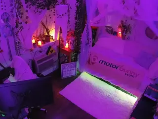 voyeurcam veccasalt 01's Live Sex Cam Show