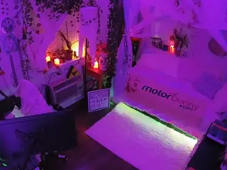 voyeurcam veccasalt 01's Live Sex Cam Show