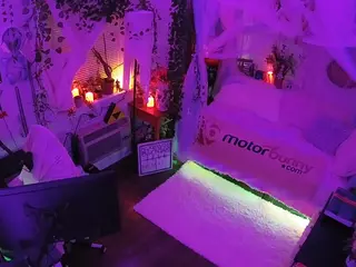 voyeurcam veccasalt 01's Live Sex Cam Show