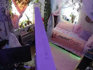 voyeurcam veccasalt 01's Live Sex Cam Show