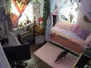 voyeurcam veccasalt 01's Live Sex Cam Show