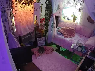 voyeurcam veccasalt 01's Live Sex Cam Show