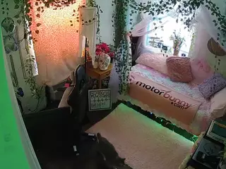 voyeurcam veccasalt 01's Live Sex Cam Show