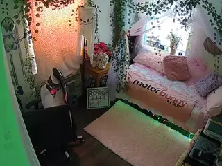 voyeurcam veccasalt 01's Live Sex Cam Show