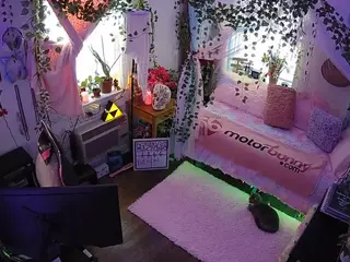 voyeurcam veccasalt 01's Live Sex Cam Show