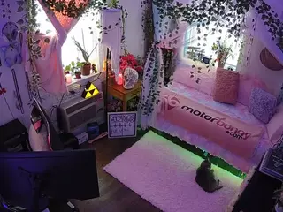 voyeurcam veccasalt 01's Live Sex Cam Show