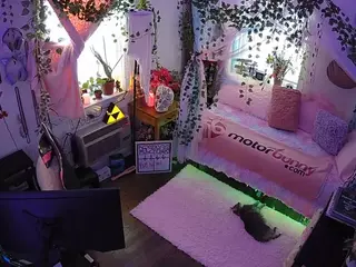 voyeurcam veccasalt 01's Live Sex Cam Show