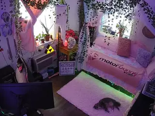 voyeurcam veccasalt 01's Live Sex Cam Show