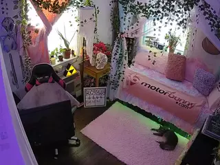voyeurcam veccasalt 01's Live Sex Cam Show