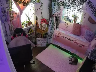 voyeurcam veccasalt 01's Live Sex Cam Show