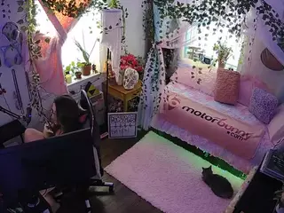 voyeurcam veccasalt 01's Live Sex Cam Show