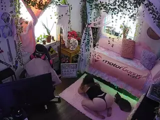 voyeurcam veccasalt 01's Live Sex Cam Show