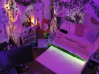voyeurcam veccasalt 01's Live Sex Cam Show