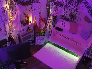 voyeurcam veccasalt 01's Live Sex Cam Show