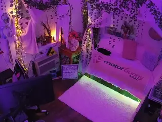 voyeurcam veccasalt 01's Live Sex Cam Show