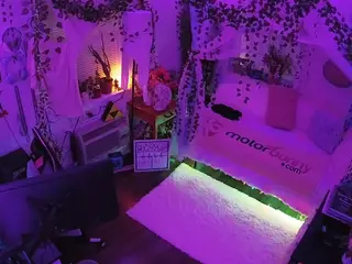 voyeurcam veccasalt 01's Live Sex Cam Show