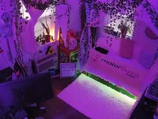 voyeurcam veccasalt 01's Live Sex Cam Show