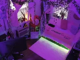 voyeurcam veccasalt 01's Live Sex Cam Show
