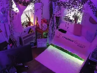 voyeurcam veccasalt 01's Live Sex Cam Show