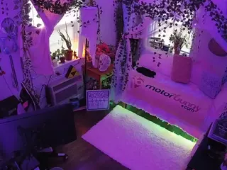 voyeurcam veccasalt 01's Live Sex Cam Show