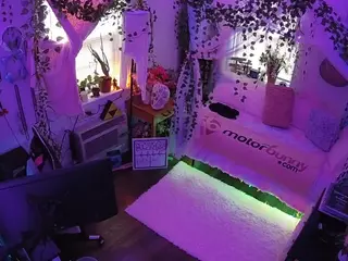 voyeurcam veccasalt 01's Live Sex Cam Show