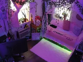 voyeurcam veccasalt 01's Live Sex Cam Show