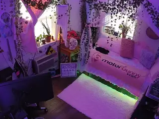voyeurcam veccasalt 01's Live Sex Cam Show