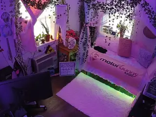 voyeurcam veccasalt 01's Live Sex Cam Show