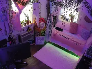 voyeurcam veccasalt 01's Live Sex Cam Show
