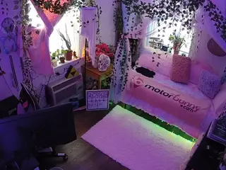 voyeurcam veccasalt 01's Live Sex Cam Show