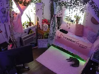 voyeurcam veccasalt 01's Live Sex Cam Show