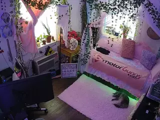 voyeurcam veccasalt 01's Live Sex Cam Show