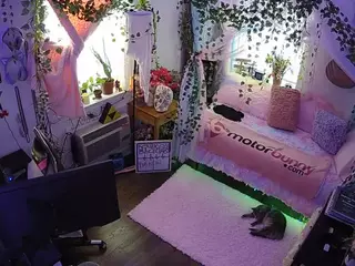voyeurcam veccasalt 01's Live Sex Cam Show
