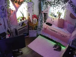 voyeurcam veccasalt 01's Live Sex Cam Show