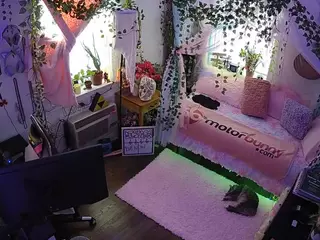 voyeurcam veccasalt 01's Live Sex Cam Show